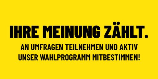 Umfragen Wahlprogramm FDP Offenbach