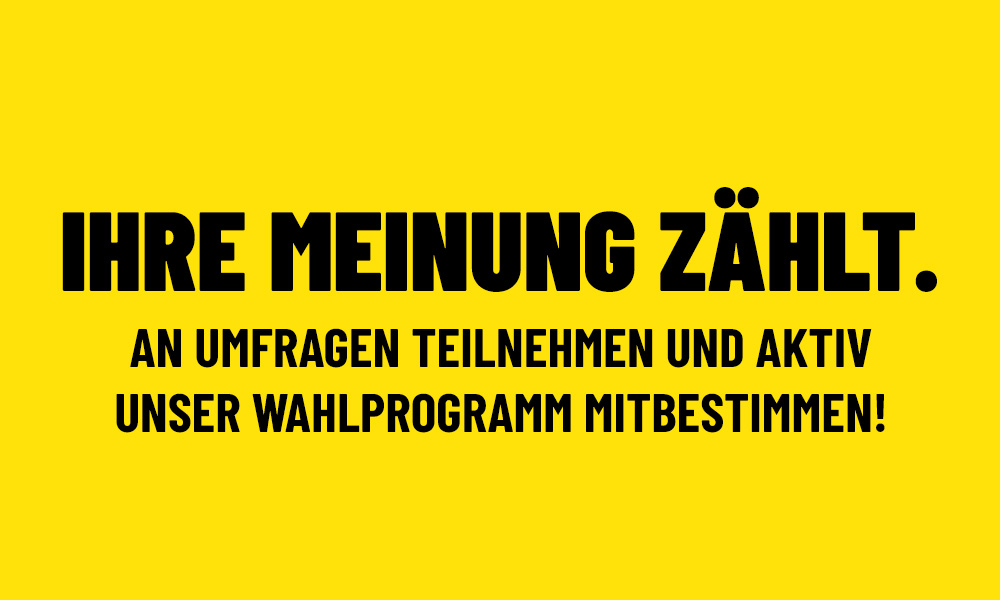 Umfragen Wahlprogramm FDP Offenbach